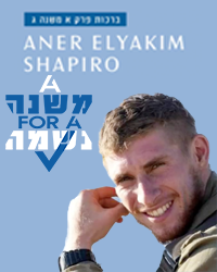 Aner Shapiro