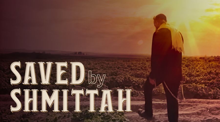 Saved By Shmitah